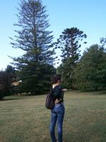 Gärten Madeiras - Anwesen Familie Blandy