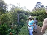 Gärten Madeiras - Anwesen Familie Blandy