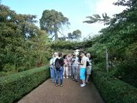 Gärten Madeiras - Anwesen Familie Blandy