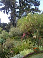 Gärten Madeiras - Anwesen Familie Blandy