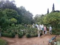 Gärten Madeiras - Anwesen Familie Blandy