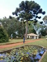 Gärten Madeiras - Anwesen Familie Blandy