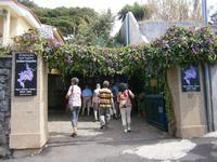 JardimOrchidea - Orchideen Garten