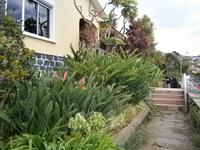 JardimOrchidea - Orchideen Garten