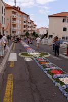 Blumenfest in Canico