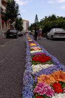 Blumenfest in Canico