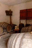 Weingut nahe Camara de Lobos