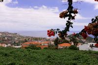 Blick auf Canico de Baixo