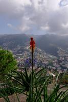 Ausblick auf Funchal