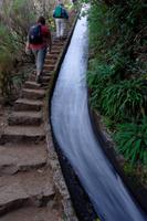 schnell fließende Rosmarin-Levada