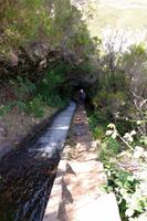 schnell fließende Rosmarin-Levada