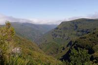 Tal der Ribeira da Janela