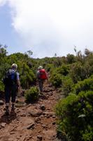 Aufstieg zur Hochebene Paul da Serra