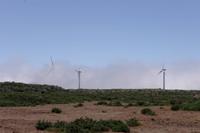 auch auf Madeira gibt es Windkraft-Anlagen