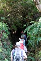 Aufstieg zur Levada do Caldeirao Verde