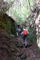 Aufstieg zur Levada do Caldeirao Verde