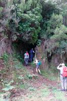 Aufstieg zur Levada do Caldeirao Verde