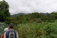 Aufstieg zur Levada do Caldeirao Verde