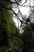 Wanderung entlang der Levada do Caldeirao Verde
