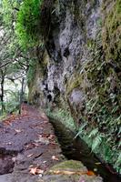 Levada do Caldeirao Verde