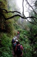 Wanderung entlang der Levada do Caldeirao Verde