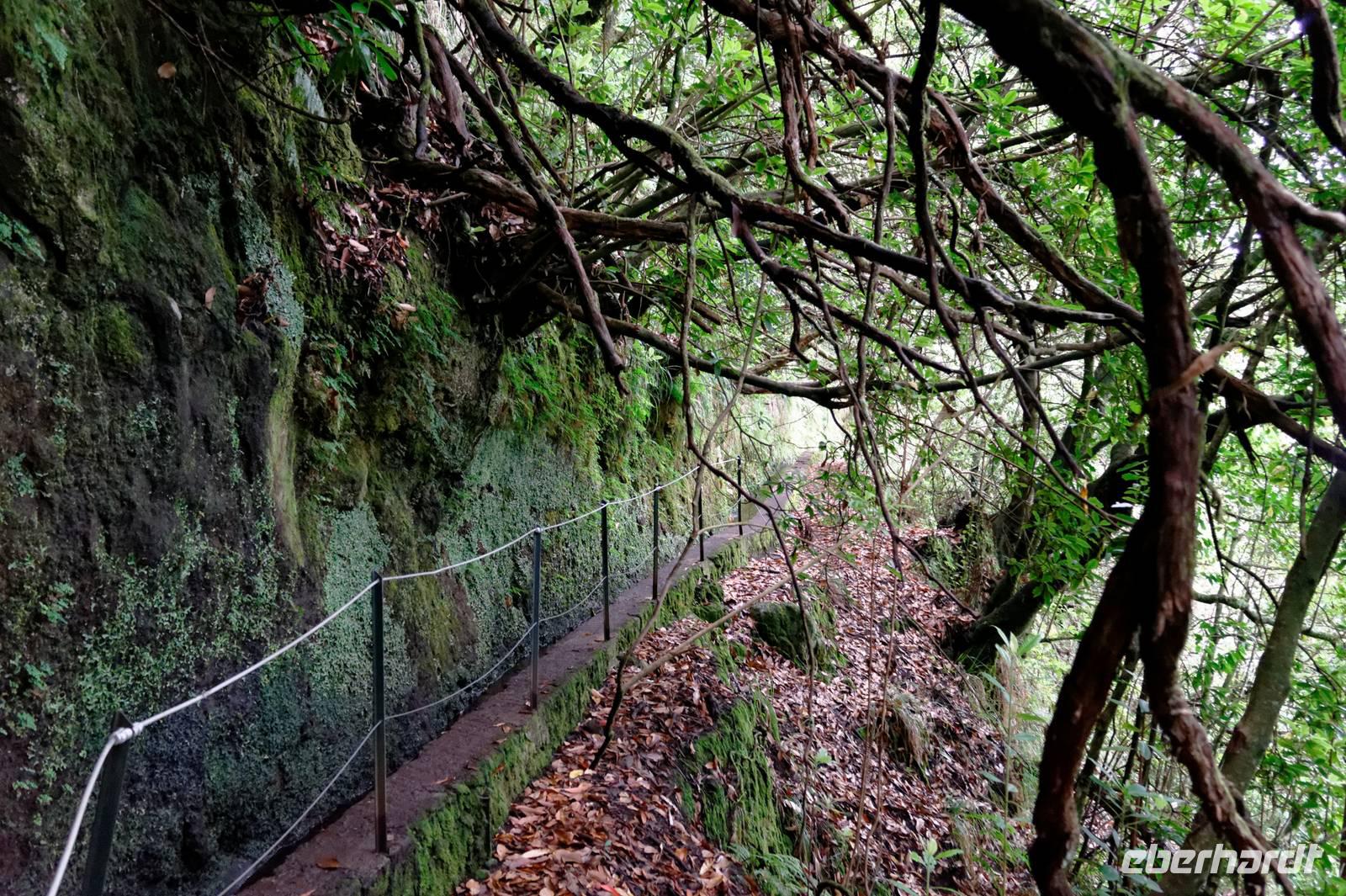 Levada-Wanderweg
