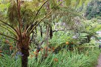 Landschaft auf der Wanderung bei Ribeiro Frio