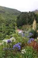 Landschaft auf der Wanderung bei Ribeiro Frio