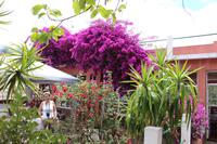 Mittagspause in einem Restaurant