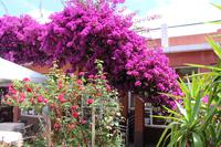 Mittagspause in einem Restaurant