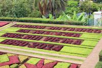 Botanischer Garten - Funchal