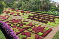 Botanischer Garten - Funchal
