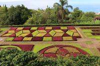 Botanischer Garten - Funchal