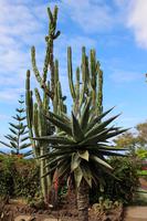 Botanischer Garten - Funchal