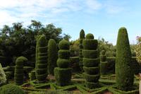 Botanischer Garten - Funchal