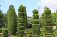 Botanischer Garten - Funchal