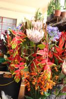 Markthalle - Funchal