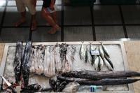 Fischhalle in der Markthalle - Funchal