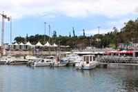 Hafen in Funchal
