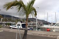 Hafen in Funchal