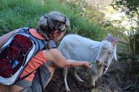 Wanderung entlang der Levada von Marocos