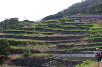 Terassenfelder auf der Wanderung entlang der Levada von Marocos