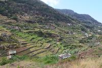 Terassenfelder auf der Wanderung entlang der Levada von Marocos