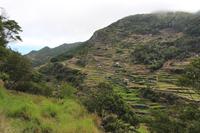 Blick auf die Terassenfelder während der Wanderung entlang der Levada von Marocos