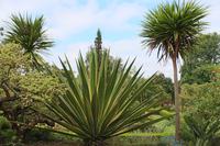 Im Garten der Familie Blandy