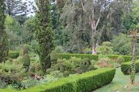 Im Garten der Familie Blandy