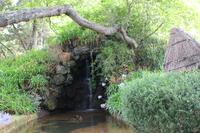 Im Garten der Familie Blandy