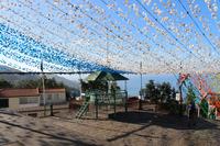 Monte geschmückt für Maria Himelfahrt