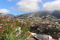 Blick auf Funchal vom Aussichtspunkt Pico dos Barcelos
