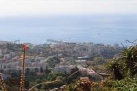 Blick auf Funchal vom Aussichtspunkt Pico dos Barcelos